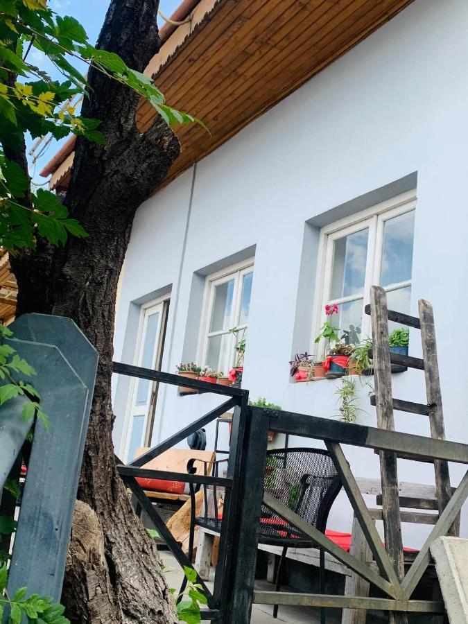 The Best View On Tbilisi Exterior photo